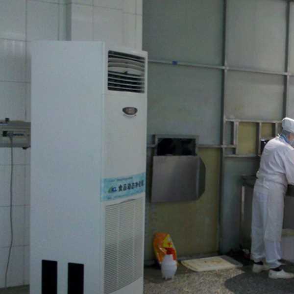 保定食品正负离子空气杀菌器